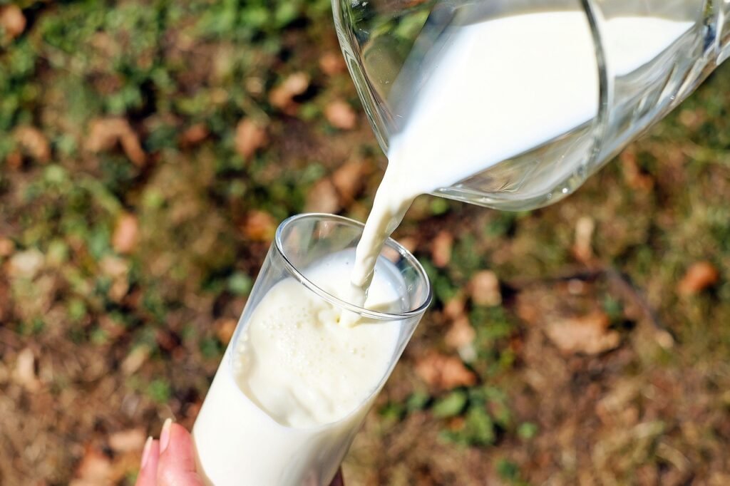 Clogged Milk Duct: Prevention Tips for New Mothers