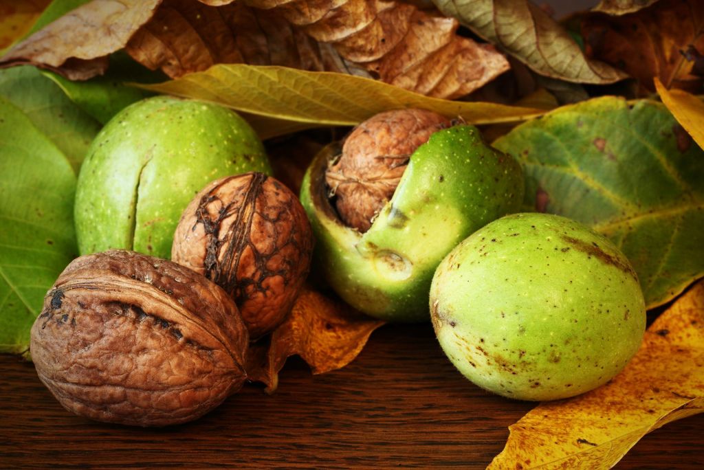 A collection of walnuts and green nuts resting on a bed of autumn leaves, with a wooden surface in the background.