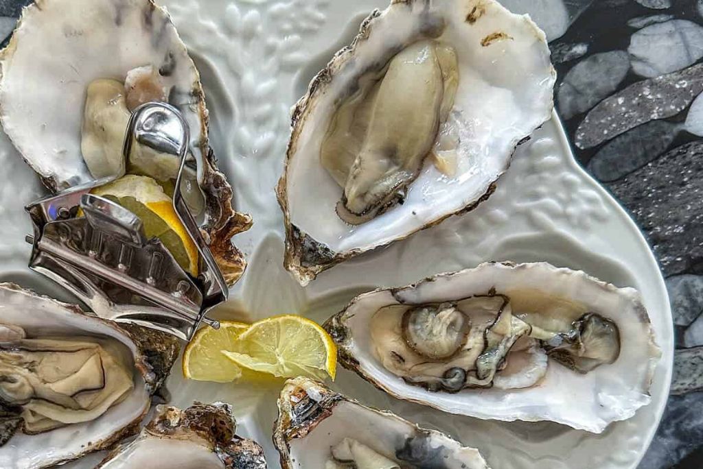 A plate of fresh oysters served with a lemon wedge and an oyster knife.